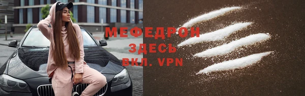 индика Каменногорск
