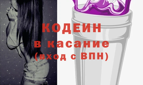 индика Каменногорск