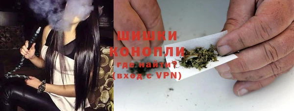 индика Каменногорск