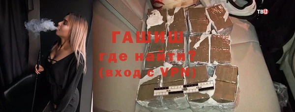 индика Каменногорск
