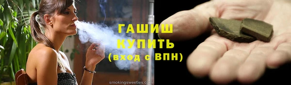 индика Каменногорск