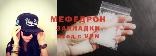 индика Каменногорск