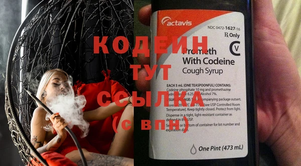 индика Каменногорск