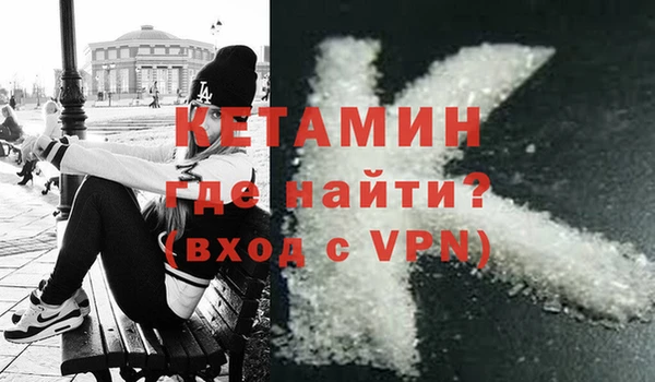 индика Каменногорск