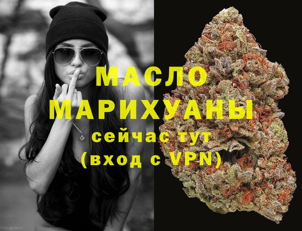 индика Каменногорск