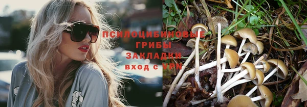 первитин Каменск-Шахтинский