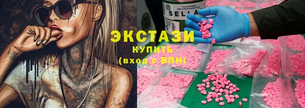 индика Каменногорск