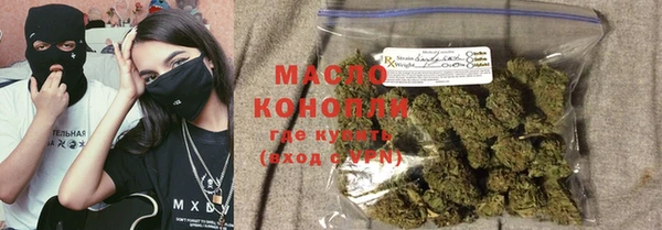 индика Каменногорск