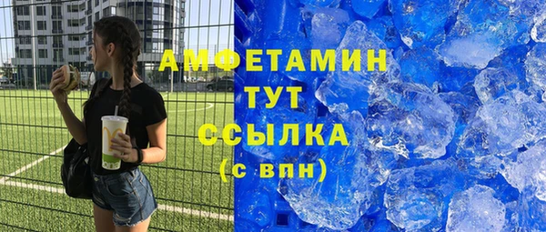 индика Каменногорск