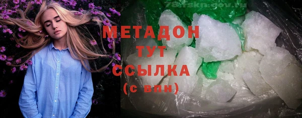 индика Каменногорск