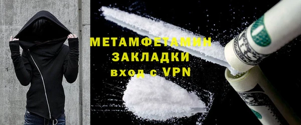 индика Каменногорск