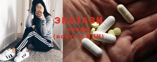 индика Каменногорск