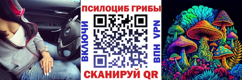 Галлюциногенные грибы мухоморы  Купить где  Новоалександровск 